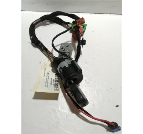 ANTIRROBO - Peugeot 307...