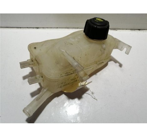 BOTELLA EXPANSION - Renault...