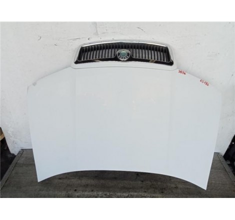 CAPO - Skoda Fabia 2004