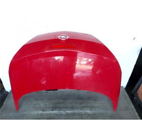 PORTON TRASERO  - Opel...