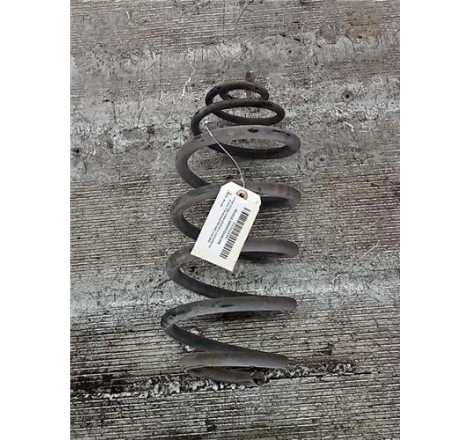 MUELLE AMORTIGUACION -...