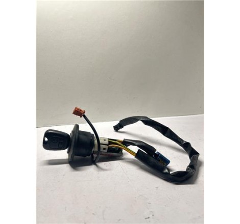 ANTIRROBO - Peugeot 206 2005